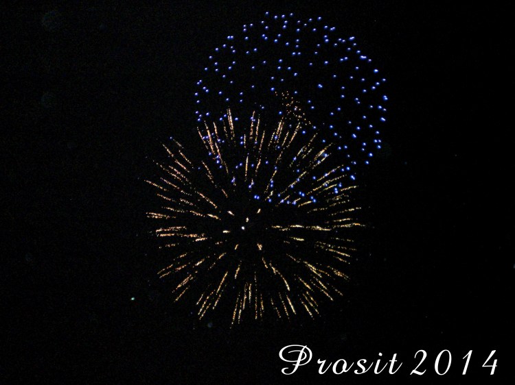 Auf ins Jahr 2014